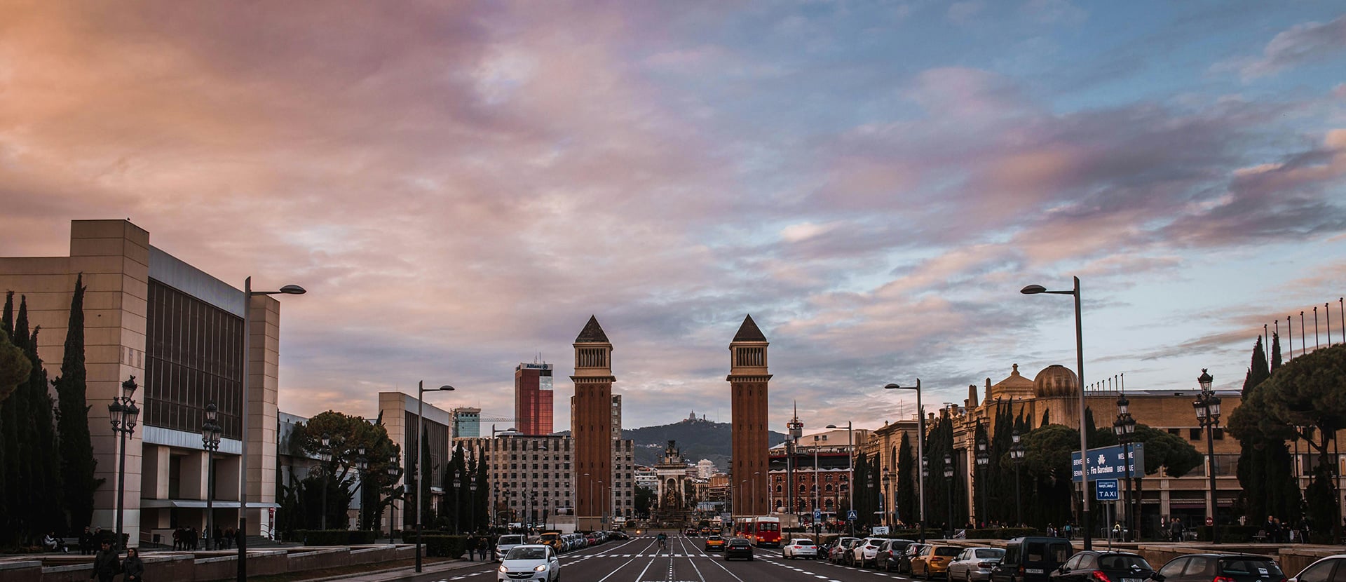 Foto de sección